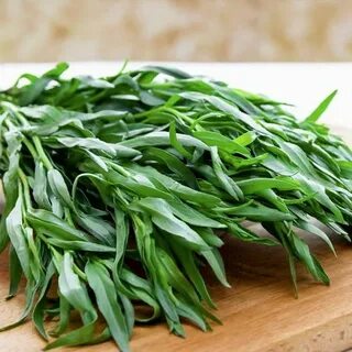 خرید سبزی ترخون خشک با کمترین قیمت بازار